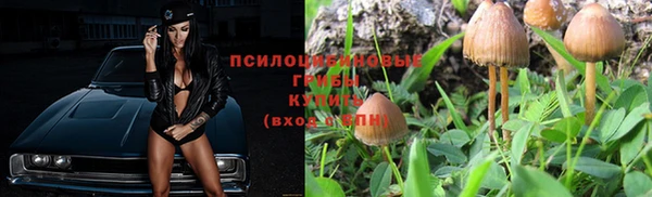 mdpv Богородицк