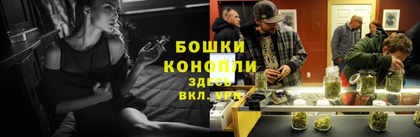 mdpv Богородицк
