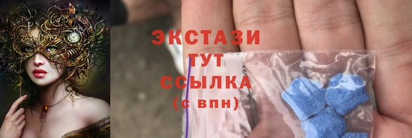 mdpv Богородицк