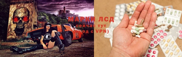 mdpv Богородицк