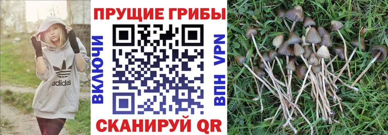 Галлюциногенные грибы мухоморы  Купить где  Печора 